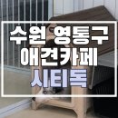 경기도 수원 영통 귀여운 대형견 소형견 상주 &#39;시티독&#39; (위치, 메뉴, 주차 등 내 돈 내산 후기)
