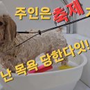 땡글땡굴 이미지