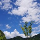 구름나그네 이미지