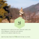 소룡농장 이미지