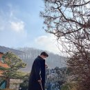 시인과촌장식당 이미지