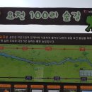 요천제방길 이미지