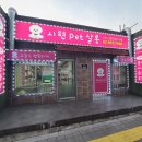 시현펫살롱 이미지