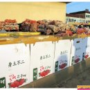 정연농산 - 김포시 사우중로11번길 39 | 정연농산