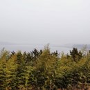 웅포관광공원 네이버블로그