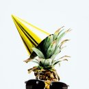 마크스안경 이미지