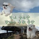 120.산림욕장_1 | 김포 문수산 등산 | 강아지 동반, 산림욕장, 주차, 난이도