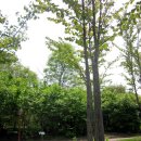 강원도립화목원 이미지