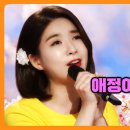 꽃시절 이미지