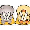 DMC하나약국 이미지