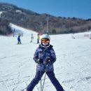 임팩트 | 곤지암스키강습 어린이스키강습 임팩트있던 레슨후기