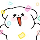 Ba체육관 이미지