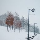 겨울 이미지
