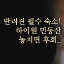 트라움호텔 | 민둥산 근처 숙소 3곳 | 메이즈 트라움 JS 팰리스 호텔 펜션 | 실제 후기 기반 최종 선택 가이드 꿀팁