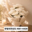 대한상조 | 경북칠곡군후불제상조, 부친상 3일장 후기, 가족 모두가 만족했던 핵가족형 장례, 한빛의전상조