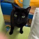 타이어우즈 | 있지 Mar 이다