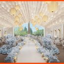 강남-289 이미지