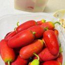 당뇨에 좋다는 코시니아 이미지