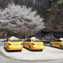 세종현대자동차운전전문학원