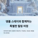 감정표현 쑥쑥, 치유여행 | 댕플 스테이, 반려견과 함께하는 치유의 여정