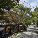 가평236 | 가평 가볼만한곳 추천 아침고요수목원 + 나린띄움 #내돈내산 #솔직후기