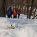 초안산체육공원초안산축구장 네이버블로그