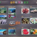 고산자연휴양림 가족휴양관 이미지