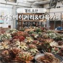 라울베이커리다육카페