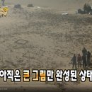 사막녹화