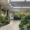 삼각지역 이미지