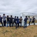 청림동-13 이미지