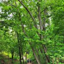 안골길 7 이미지