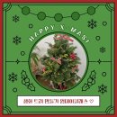 12/6 크리스마스 생화 트리 이미지