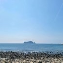 귤낭하우스커플가족모던오션뷰 | 서귀포 법환동 펜션 귤낭하우스 커플 가족 모던 오션뷰 위치 가격 리뷰