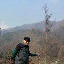 지인농장2 이미지