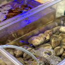 사랑도맛집 이미지