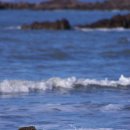 안면도바다풍경 이미지