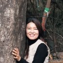 더나은여행사 이미지