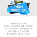 스위드스