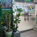 A&C프라자 | 드릴에듀 평촌 영어 정시컨설팅 학원 합격의 모든것