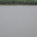 서해랑길 41코스 이미지