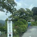 세아리조트 | 동두천/포천 풀장 펜션 분위기 좋은 세아리조트