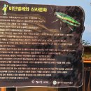 월성체육시설 | 경주 비단벌레 전동차 예약 방법 요금 코스 후기까지! 가족여행 필수코스