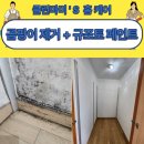 클린마미 이미지