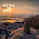 하단동242 이미지