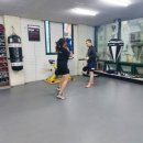 고영삼복싱아카데미 이미지