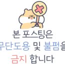 다솜고양이메디컬센터 금정점 이미지