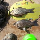 석곡낚시터 이미지