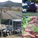 남해농장 이미지