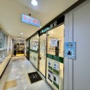 [다니에르 리뷰] 강남탈모 닥터모락 강남점 강남두피관리 후기